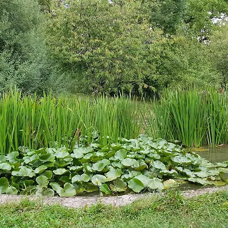 בית הארחה Le Clos Darwin - D'hotes