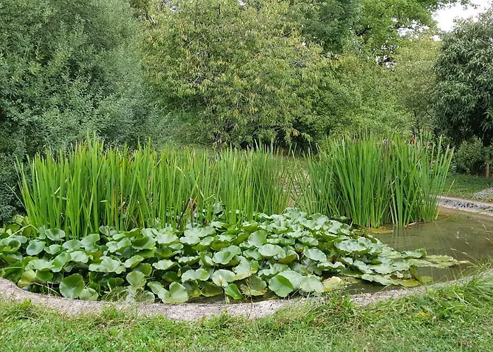 Affittacamere Le Clos Darwin - D'hotes